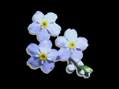 Forget-Me-Not Grave Tending