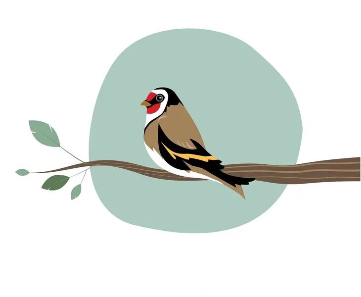 Goldfinch Grave Tending